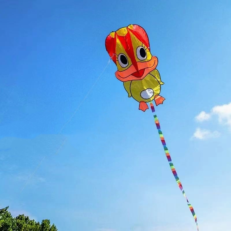 Kite Wind Outdoor - Aquiloni gonfiabili a forma di anatra