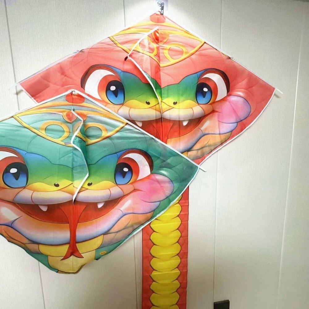 Kite Wind Outdoor - Facile da volare 4,75 m aquilone