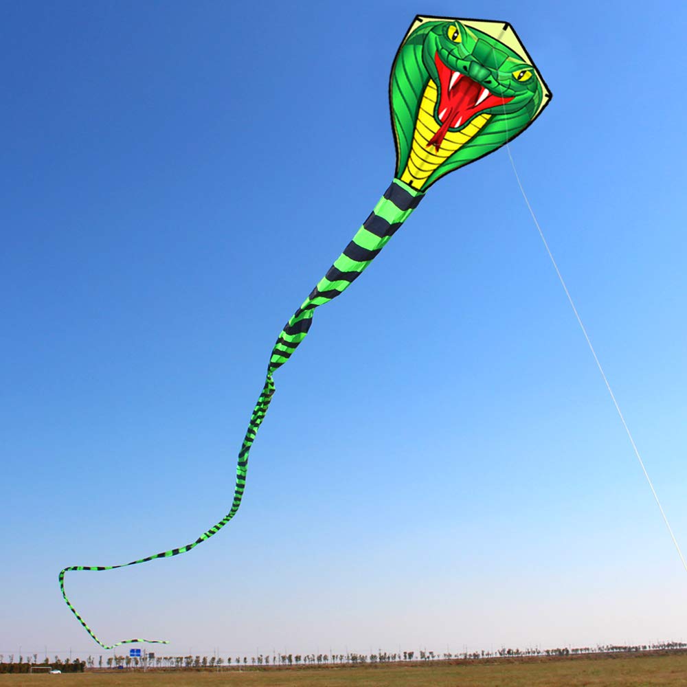 Aquilone Gigante 8/15m a Forma - Kite Wind Outdoor recensione e prezzo