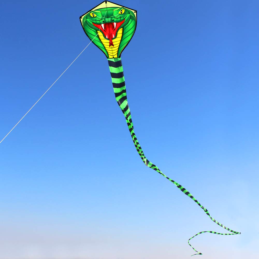 Aquilone Gigante 8/15m a Forma - Kite Wind Outdoor recensione e prezzo