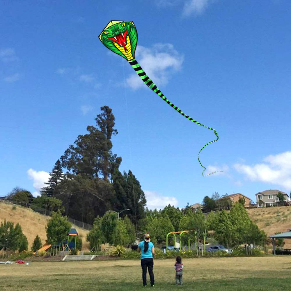 Aquilone Gigante 8/15m a Forma - Kite Wind Outdoor recensione e prezzo