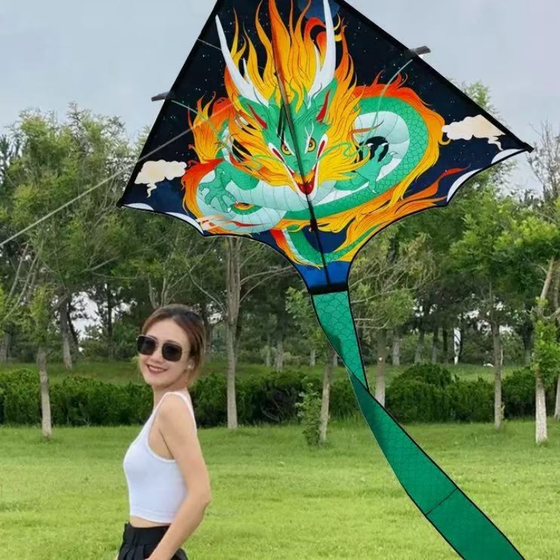 Dragon kite fly giocattoli per - Kite Wind Outdoor recensione e prezzo
