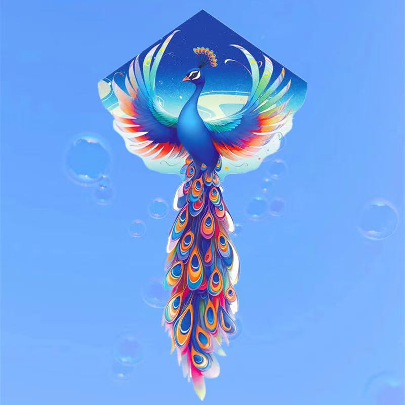 Dragon kite fly giocattoli per - Kite Wind Outdoor recensione e prezzo